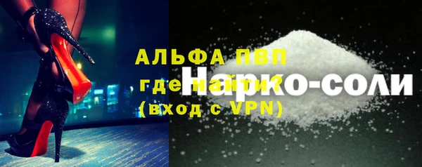 СК Новозыбков