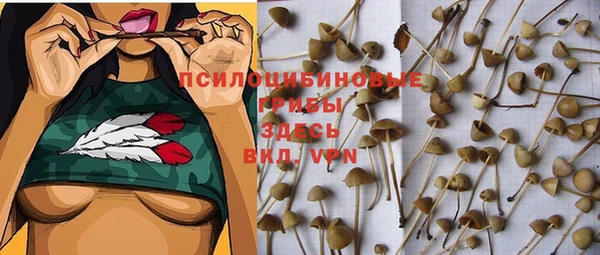 MDMA Premium VHQ Новокубанск