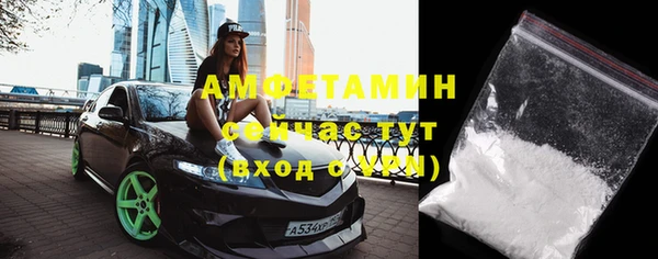 СК Новозыбков