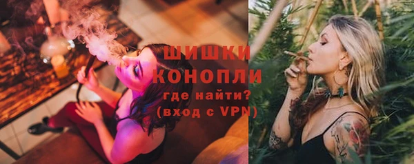 СК Новозыбков