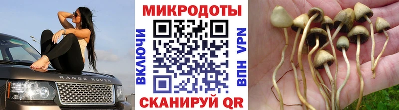 где найти наркотики  omg рабочий сайт  Псилоцибиновые грибы Magic Shrooms  Кемь 